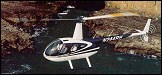 Robinson R44