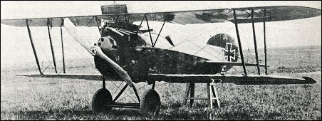 Phönix D.III