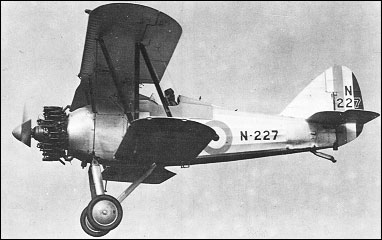 Gloster Gnatsnapper