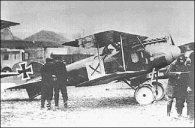 Albatros D II