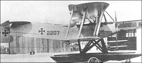 Hansa-Brandenburg W.19