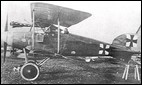 Albatros D II