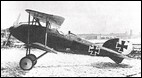 Albatros D IV