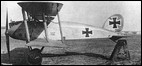 Albatros D IX