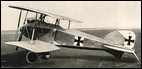 Albatros D I