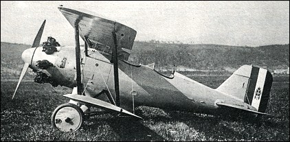 Piaggio P.11