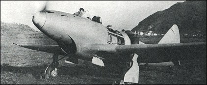 Piaggio P.119