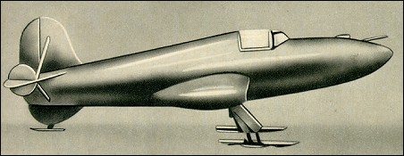 Bolkhovitinov Bi-1