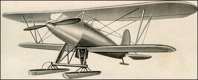 Polikarpov I-3