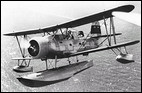 Curtiss Model 71 / SOC Seagull