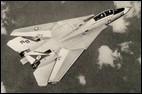 Grumman F-14 Tomcat