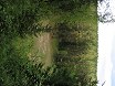 Estonia. Taevaskoja Sandstone Cliffs