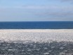 Сааремаа. У обрыва Panga Pank. Лебеди в море