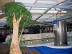 Паром Silja Opera. На 10-м этаже под стеклянной крышей