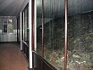 Освенцим. Вещи убитых заключенных